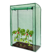 Tomato Greenhouse Reinforced