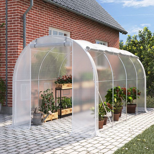M walk in polytunnel - x,