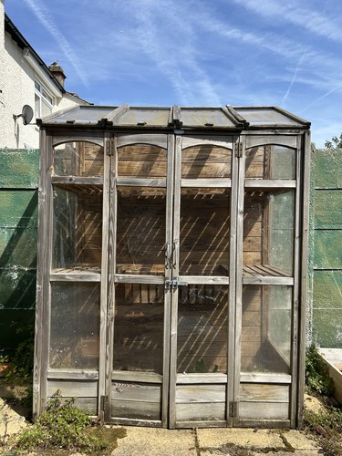 Forest victorian tall wall - victorian,
